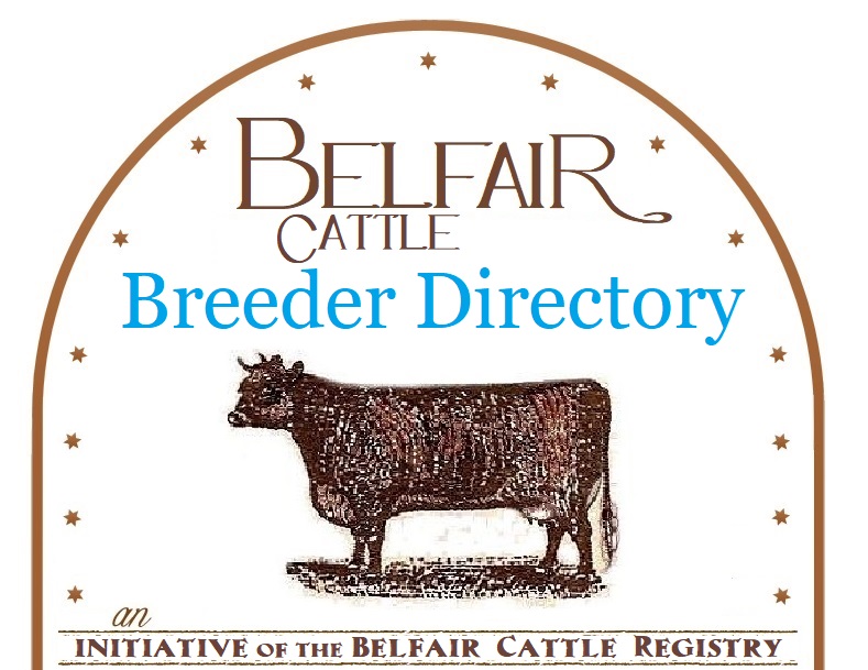 Belfair Cattle Breeder Directory
